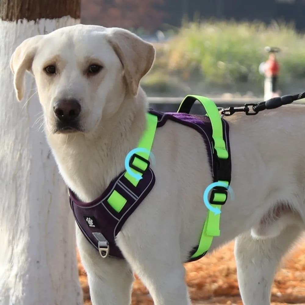 Multi-Point Adjustment Anti-Pull Dog Harness Reflective Breathable Dog Chest Strap Comfortable Dog Leash Outdoor Use