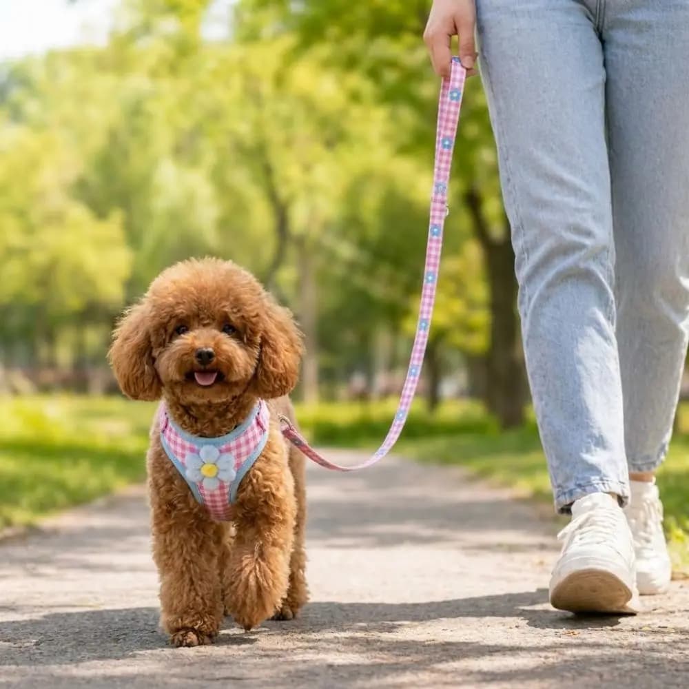 Soft Mesh Dog Harness Leash Set Breathable Adjustable Cat Traction Rope with Flower Vest Type Fashion Plaid Harness