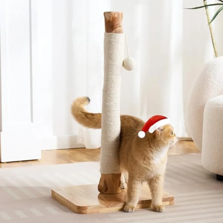 Tiragraffi per Gatti da Interno Alto 29 Pollici, Extra-Stabile in Legno Naturale Massiccio con Sisal e Gancio, per Gatti Adulti