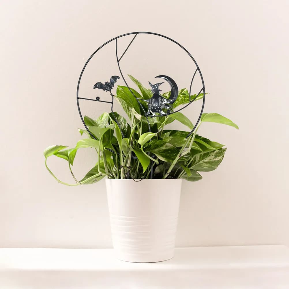 Support for Indoor Climbing Plants, Small Garden Circular Vase, Easy to Fit Without Tools, Halloween Style