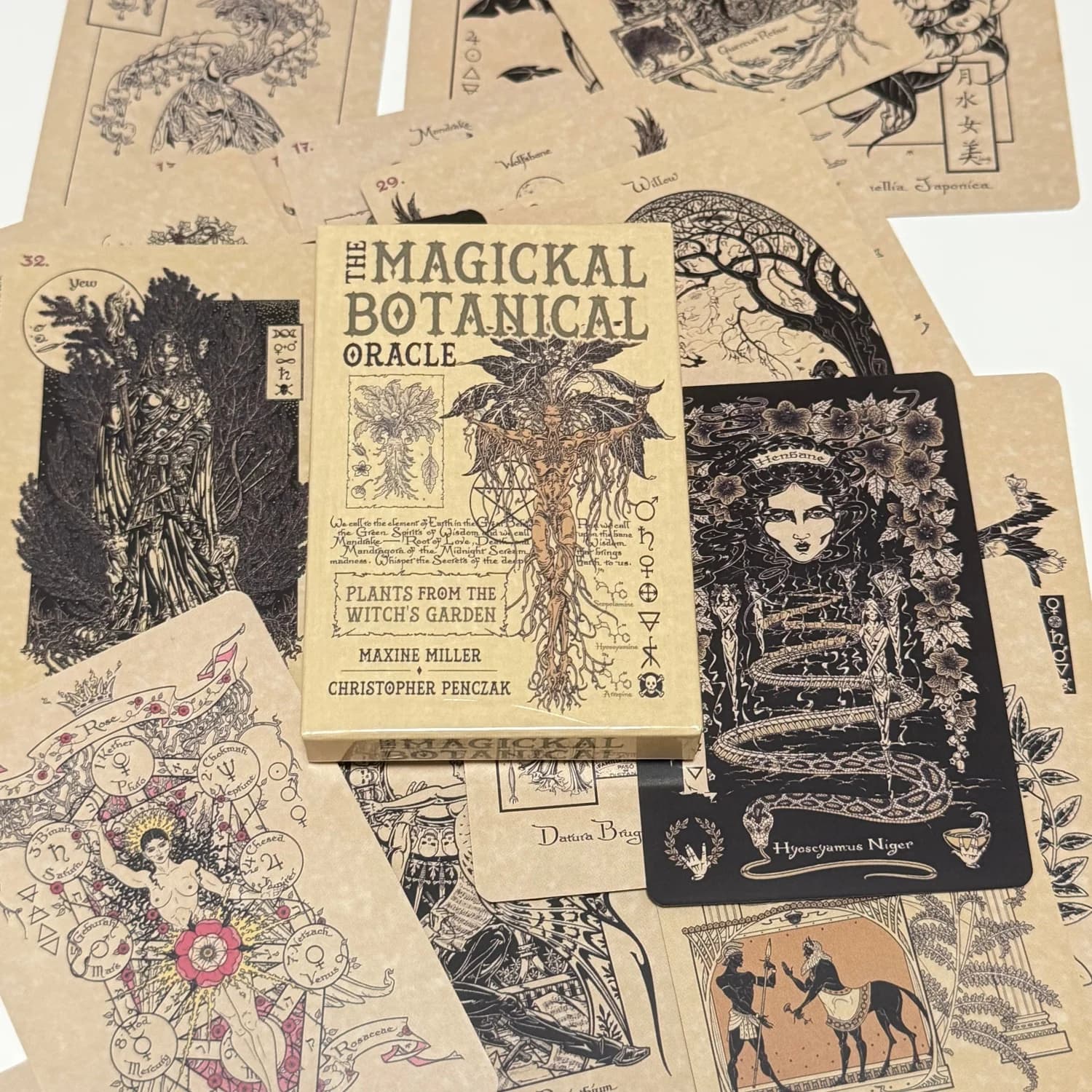 33 carte magiche botaniche dell'Oracolo delle piante del giardino della strega, 10*6,5 cm