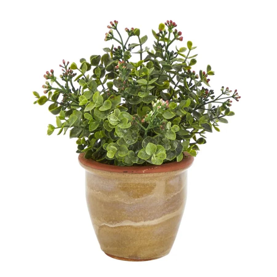 10" Eucalyptus and Sedum Succulent Artificial Plant in Ceramic Planter Green
