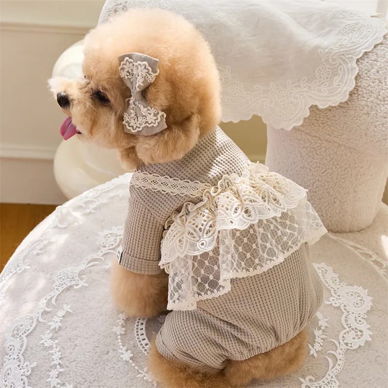 Pet Primavera Tuta Carino Pizzo Canotta Cucciolo Teddy Cat Waffle Pizzo Cappotto a quattro zampe Cane di piccola taglia Vestiti per cuccioli Pigiama per cani