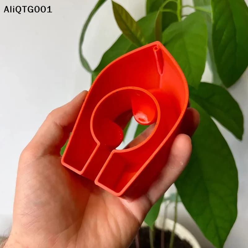 Colorful Hydroponic Vases in Boat Shape for Avocado - Floating Kit for Growing Trees of Avocado Without Seeds