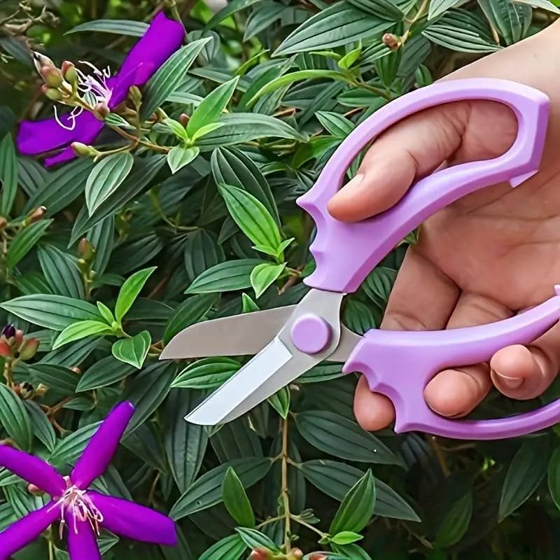 Forbici da Giardino in Acciaio Inossidabile con Lama Larga per Composizioni Floreali e Potatura