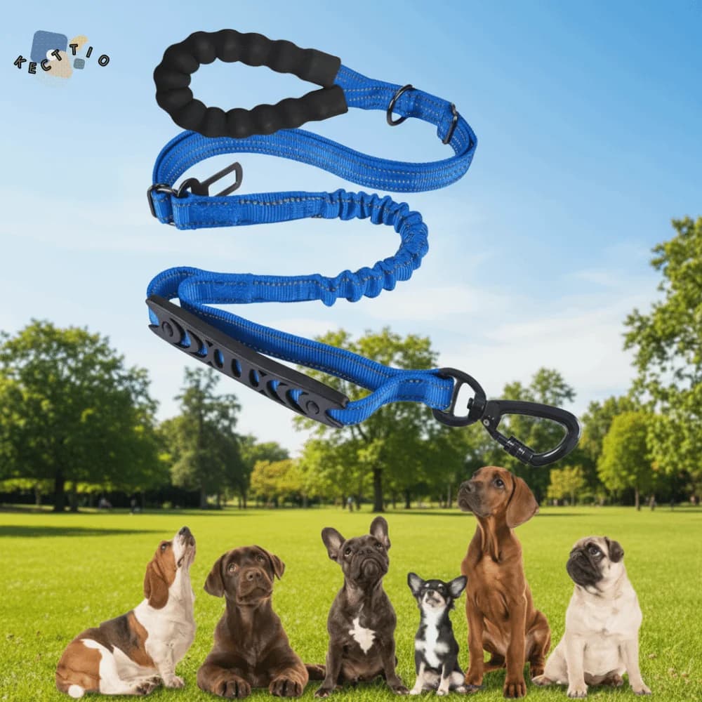 Guinzaglio per Cani Riflettente Antiurto con Fibbia di Sicurezza per Auto, Corda per Passeggio Resistente all'Usura