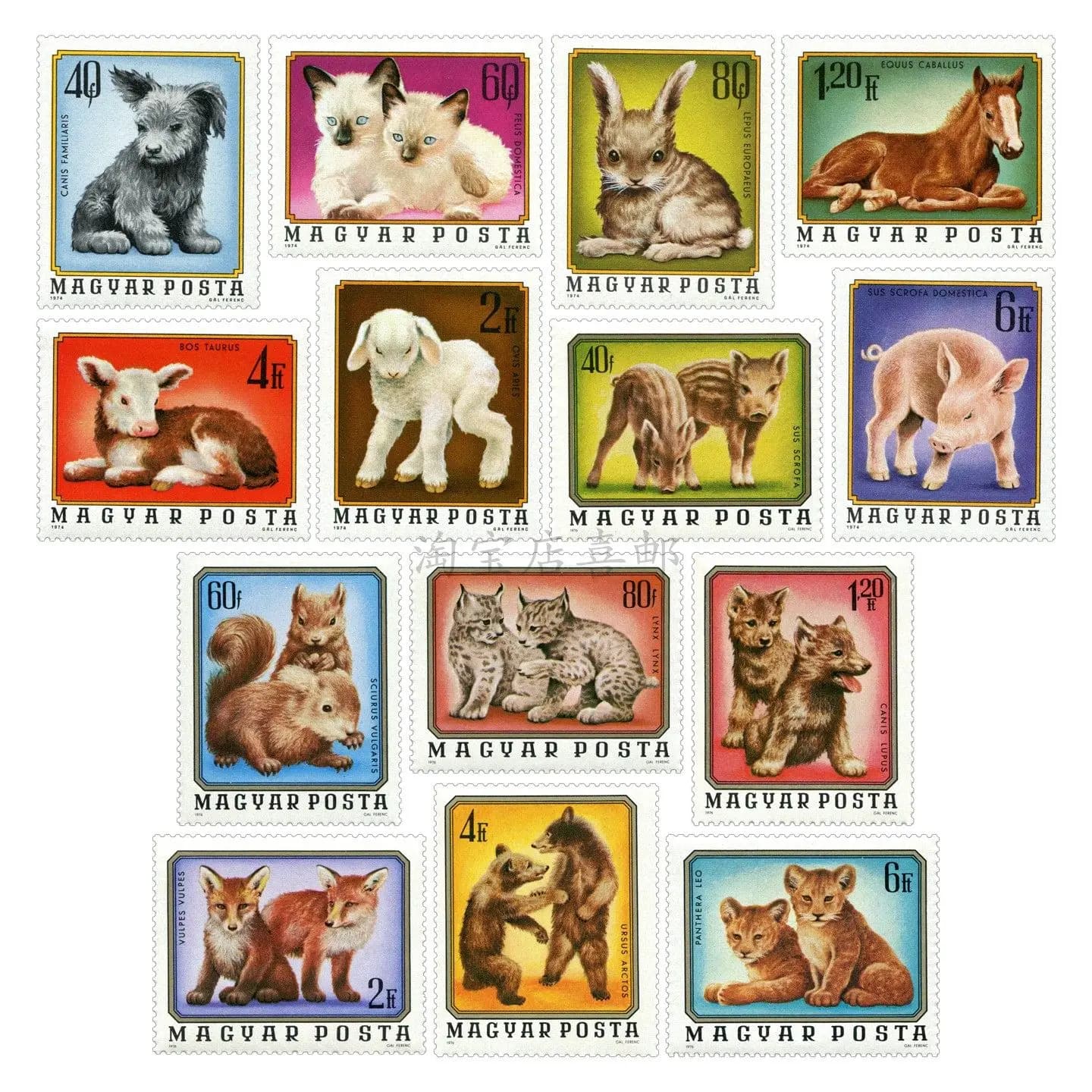 Hungary Post Stamps Postage Y1974-1976 Cute Animal Cubs Full Set 14 All New Collectible Postage Stamps Material For Scrapbooking