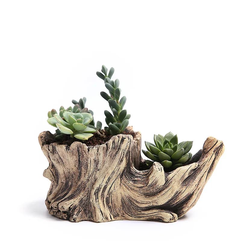 Succulent Flower Pot Wood Tree Root Planter Creative Micro Landscape Small Porous Flower Resin Succulent Vase Decoration