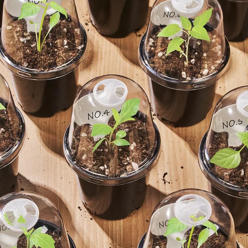 Vasi per Piante da Vivaio, Fioriere per Giardinaggio, Mini Vasi per Piante da Interno, Bonsai, Semi, Piante Succulente e Piccole Piante
