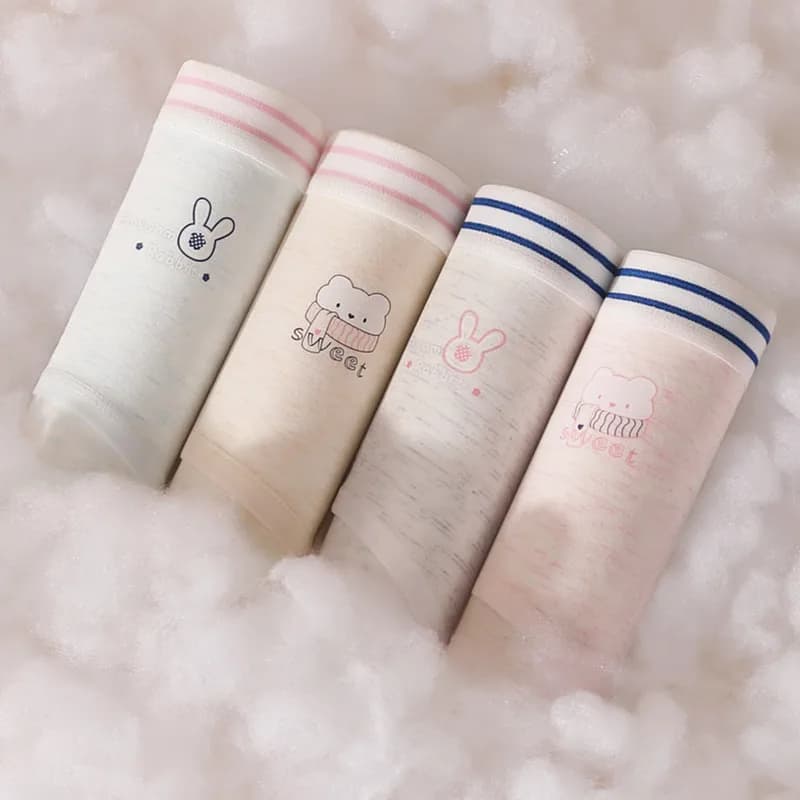 4 pezzi biancheria intima di puro cotone mutandine da donna sexy traspiranti slip comodi biancheria intima morbida da ragazza a vita media alta proiettile Inti