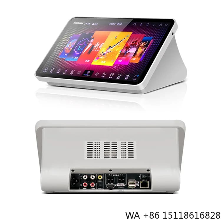 Customized Professional Magic Sing Karaoke System Professional KTV Karaoke Machine Set