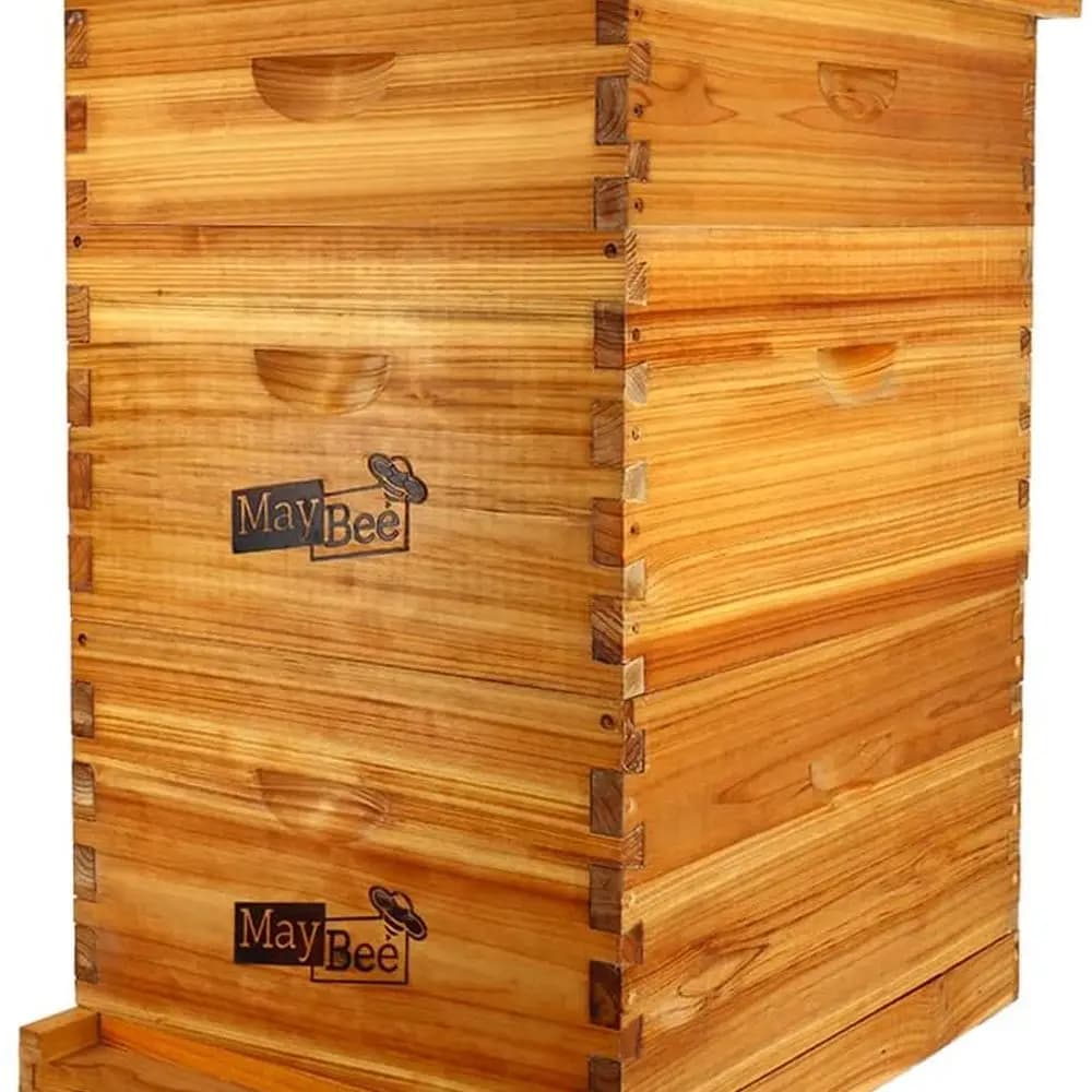 Complete kit for hive at 10 frames with bodies of alveare Langstroth covered in bees wax, frames and foundations
