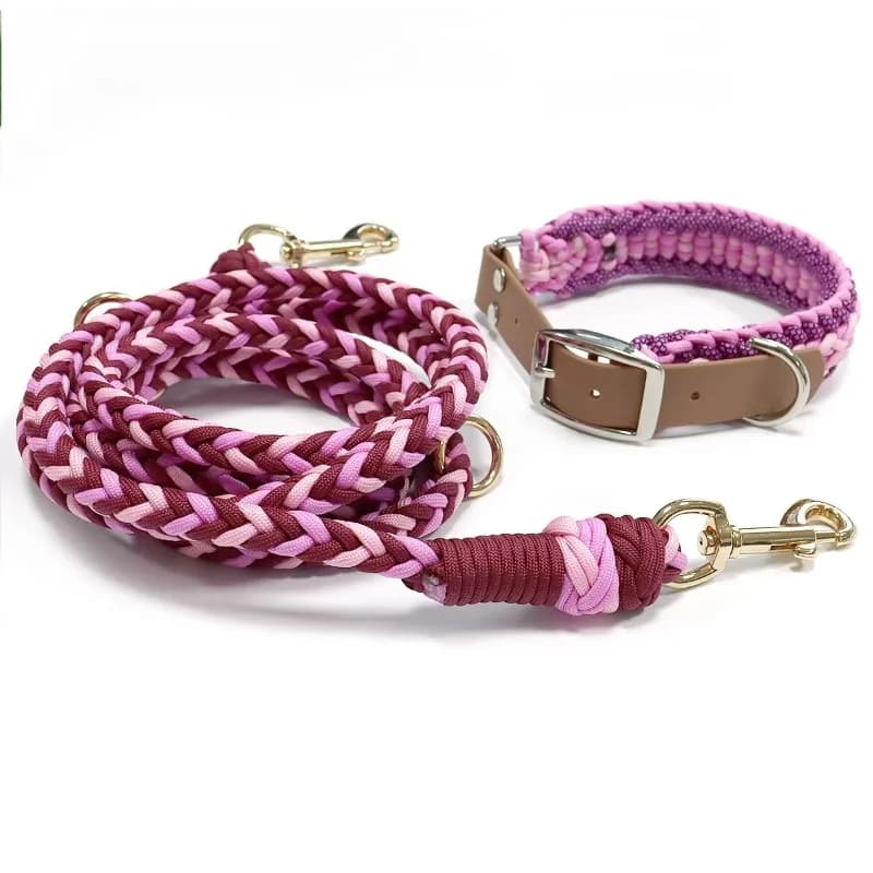 Set di Guinzaglio e Collare per Cani Resistente e Impermeabile, per Addestramento e Passeggiate all'Aperto