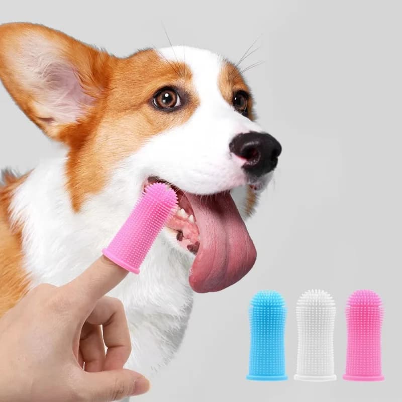 1-3 Pezzi Spazzolino da Dito Super Morbido per Cani, Cura dei Denti e Alito Cattivo, Strumento in Silicone Non Tossico