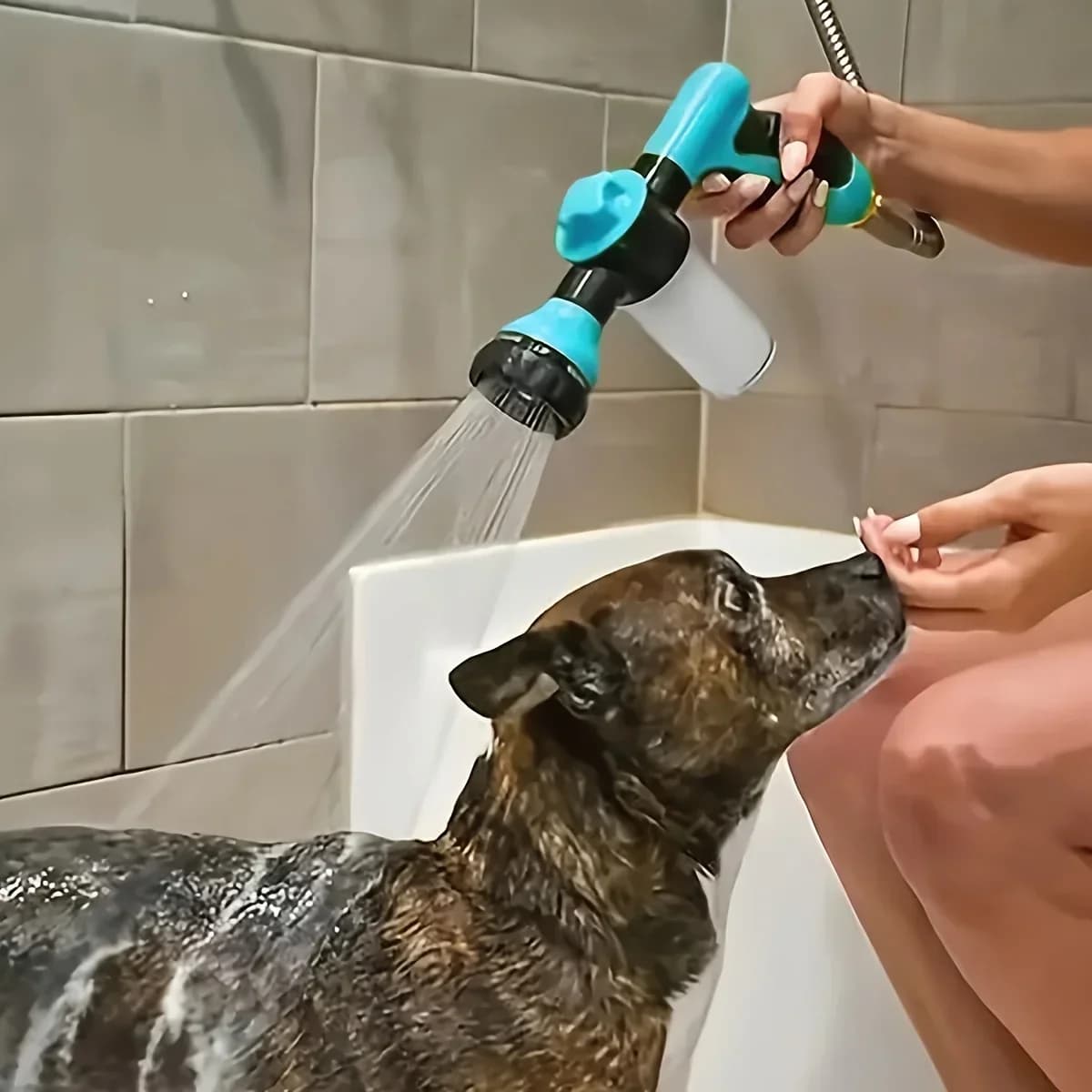 5pcs Pet Dog Shower Sprayer ugello per tubo flessibile ad alta pressione pistola ad acqua in schiuma irrigazione da giardino Animal Horse strumenti per il lavaggio dell'auto cane