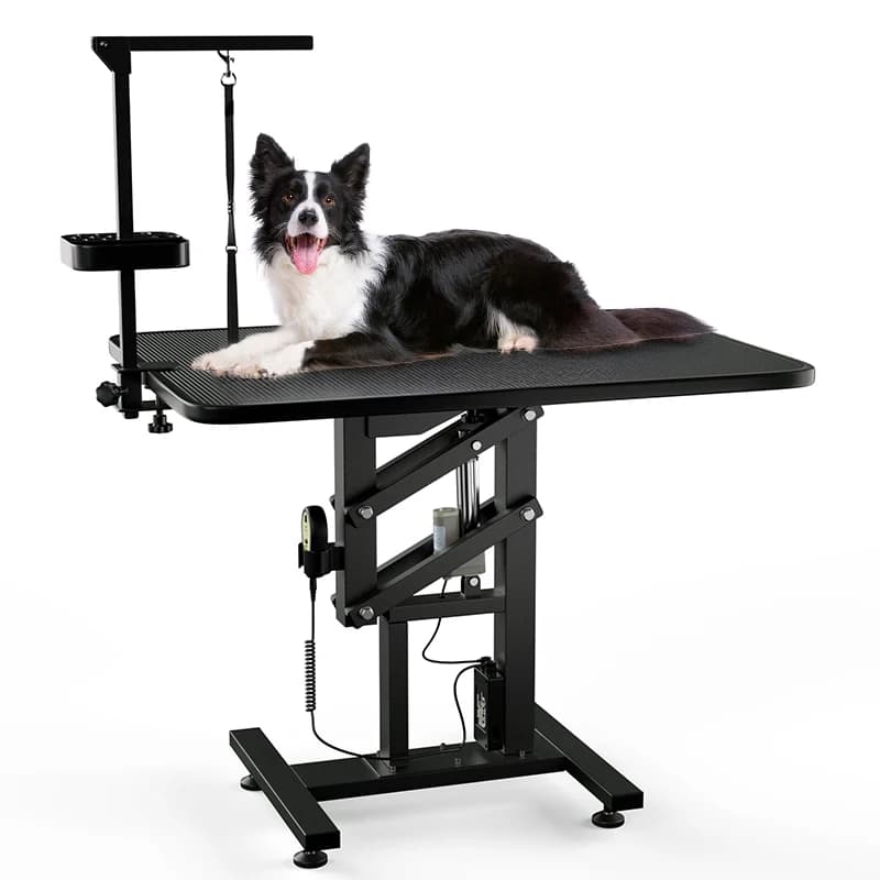 Tavolo Elettrico per Toelettatura Cani, Leggero e Facile da Usare, Ricaricabile e Facile da Pulire
