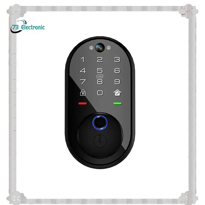 Consegna in 24 ore Tuya Smart Video Citofono Blocco con tastiera touchscreen per porta d'ingresso - Catenaccio elettronico digitale controllato V