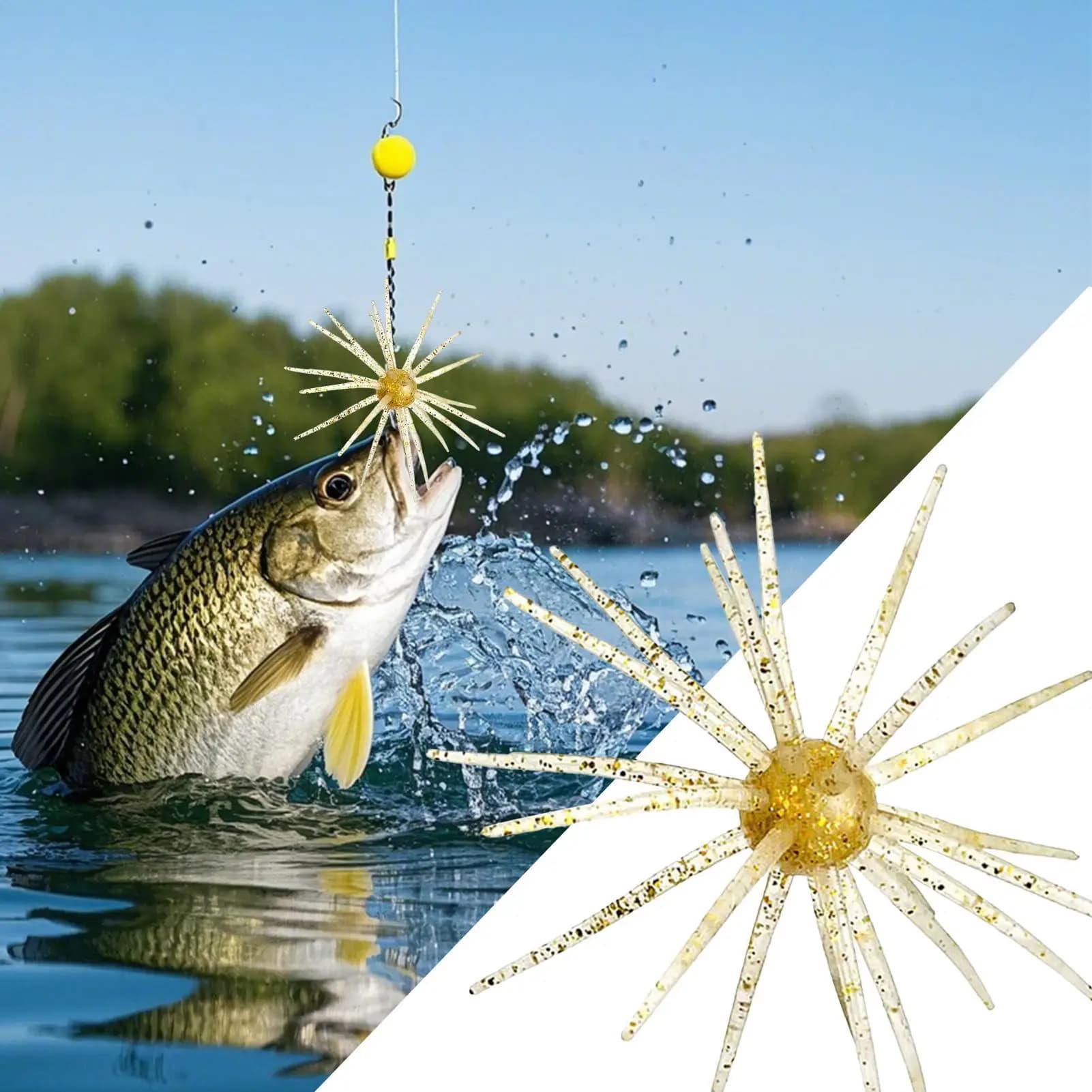 Black Sea Riccio Shaped Artificial baits, Realistic baits for Trout, Strawberry and Fishing from Riva, Fin Sea Riccio Form Equipment for Lake and River