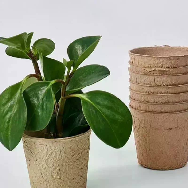 10/30/50 Pezzi Vasi Biodegradabili in Polpa di Cellulosa Eco-Friendly per Semina, Fiori, Crescita Radicale Traspirante, Rotondi e Quadrati, per Giardinaggio Domestico