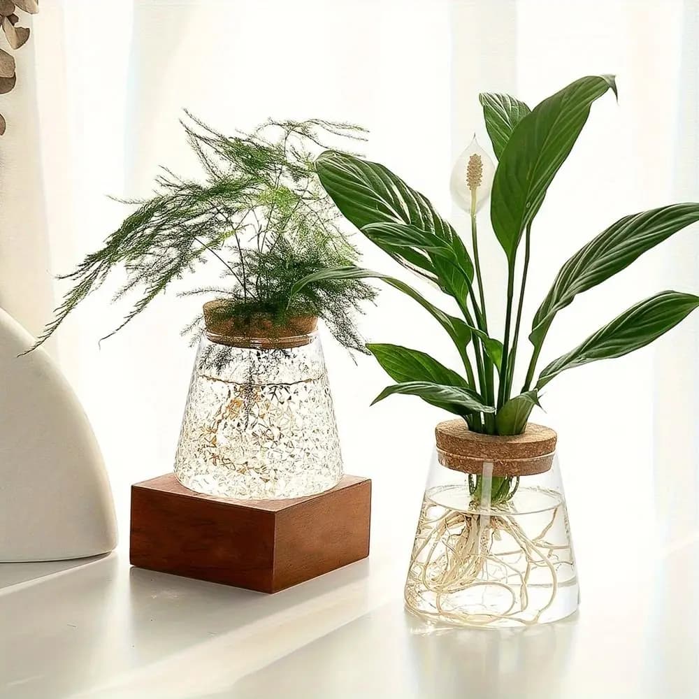 3PCS Transparent Hydroponic Plants Vase Decorative with Cork Flower Pots Small Size Water Cultivation Vase Garden Accessories