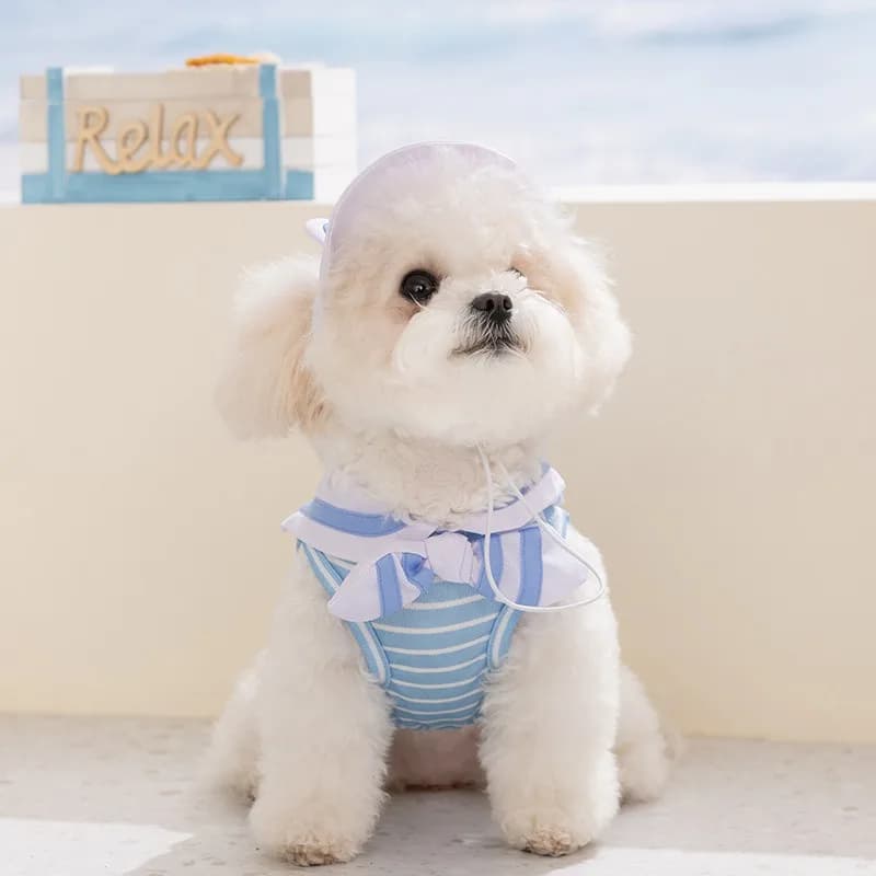 Gilet per Cani Blu Navy con Colletto, Abbigliamento Estivo per Animali Domestici, Maglietta a Righe Traspirante per Maltesi e Teddy con Cappello, Taglie XS-XL