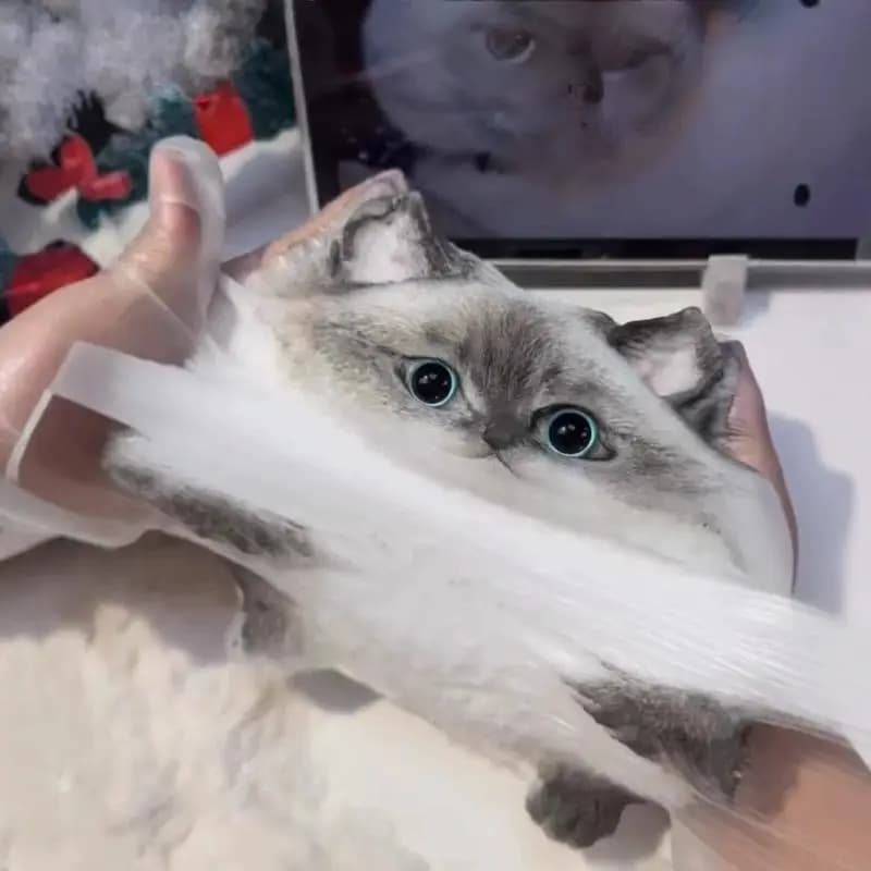 Cute Kawaii Cat Soft Silicone Stress Relief Squeeze Toy Anxiety Relief Desk Gift For Kids Adults Desk Decor Gift