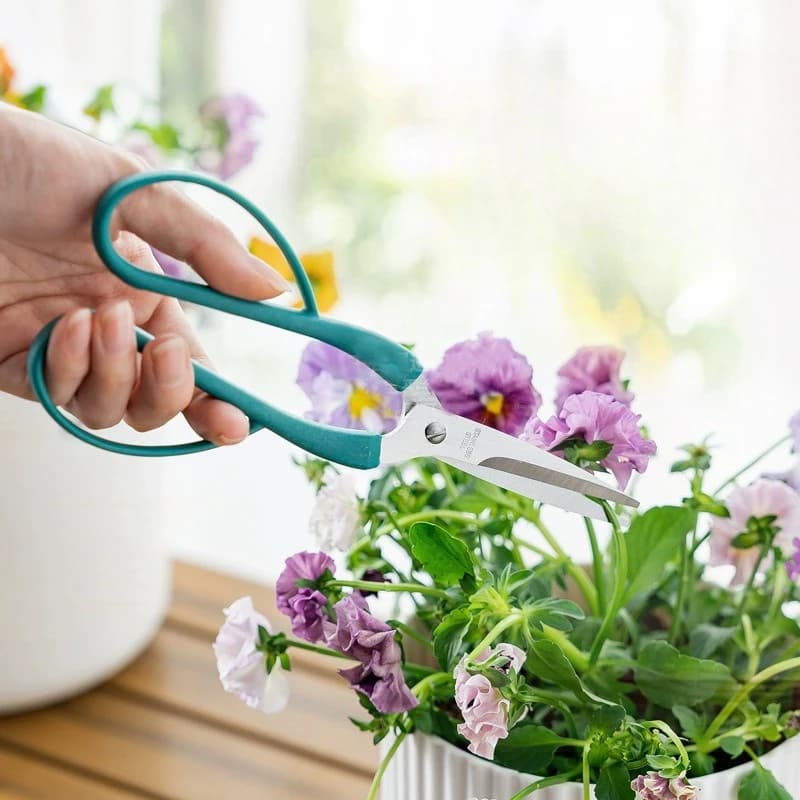 Gardening Scissors in Punta con Manico Lungo per Fiori, Bonsai e Piante in Vaso, Potential Scissors, Specials for Domestic Floral Compositions