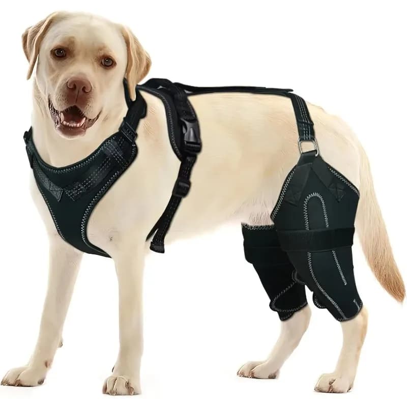 Ginocchiera Acl per cani per gamba Acl strappata, ginocchiere per cani per articolazioni calde della gamba posteriore e allevia il dolore articolare, migliore recupero per il cucciolo