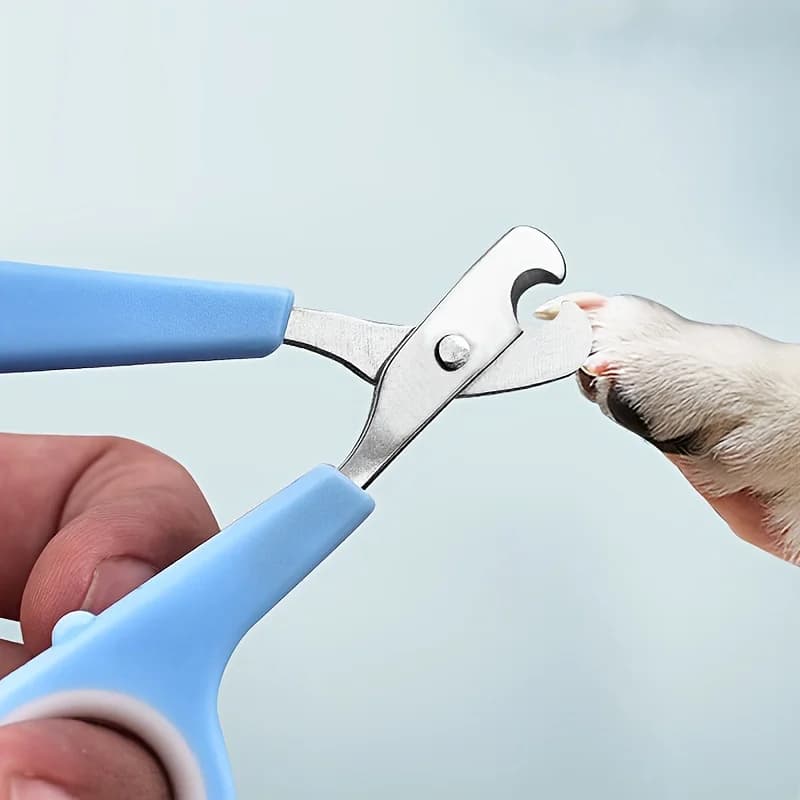 Tagliaunghie per animali domestici 1 pezzo, mini acciaio inossidabile, strumento per toelettatura di precisione per gatti e cani di piccola tagliaunghie durevole