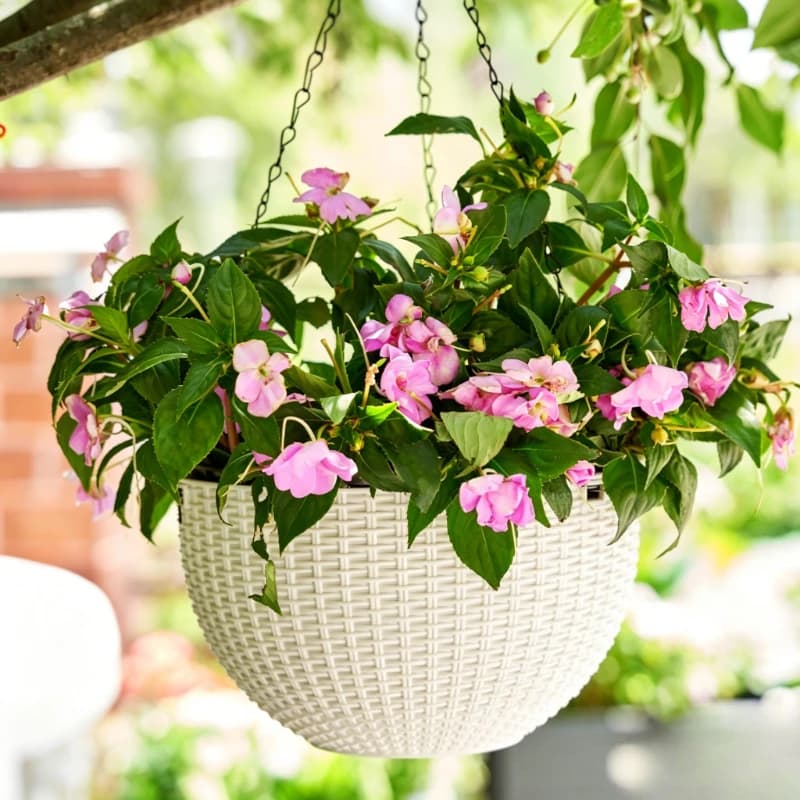 Pot Indoor Hanging Basket Simple Style Honeycomb Pattern Imitation Rattan Hanging Hanging Plastic Flower Pot Pothos Hanging