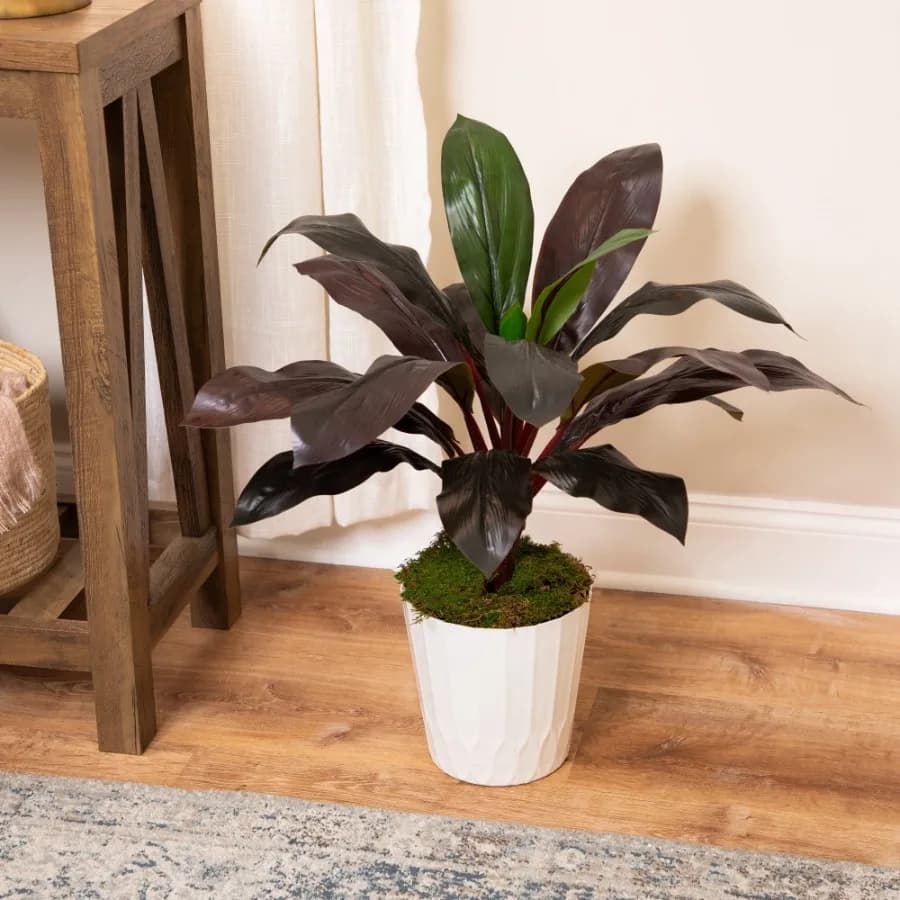 Real Touch™️ Red and Green Artificial Dracaena Potted Plant - 23"