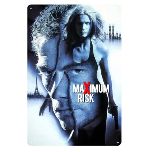 Maximum Risk jean claude van damme Movie Metal Poster Tin Sign 20x30cm