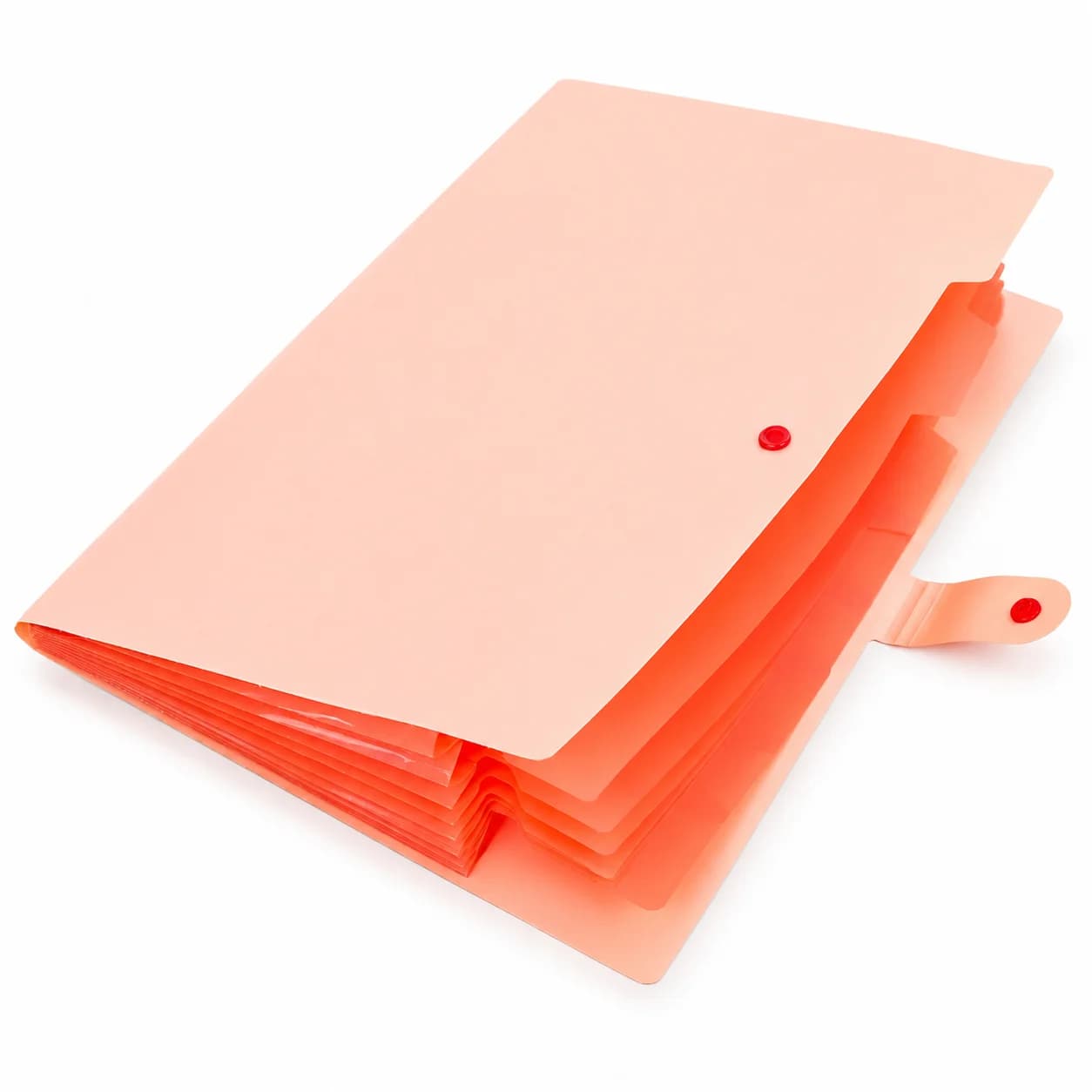 Organizzatore per Documenti a Fisarmonica Rosa, 8 Tasche Espandibili, Piccola Tasca Interna, Cartella in Plastica PP Resistente per Ufficio, Scuola, Casa