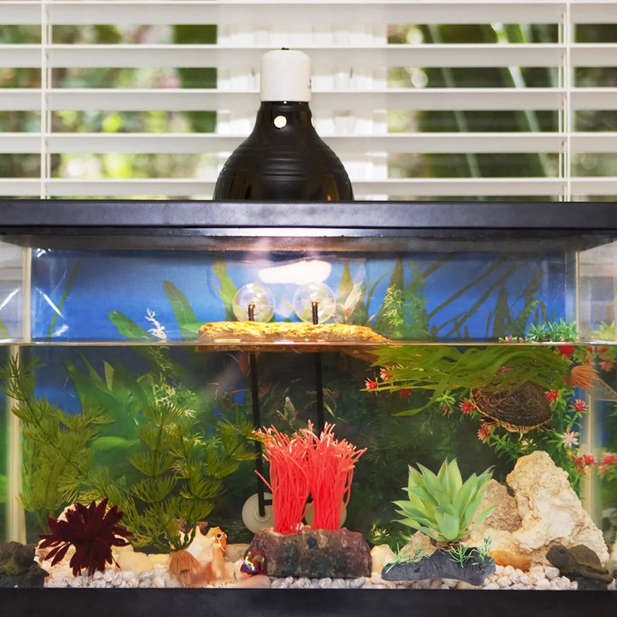 Piante Acquatiche Artificiali Realistiche per Decorazione Terrario Rettili, Nascondiglio Naturale, Simulazione di Piante Grasse per Habitat Animali