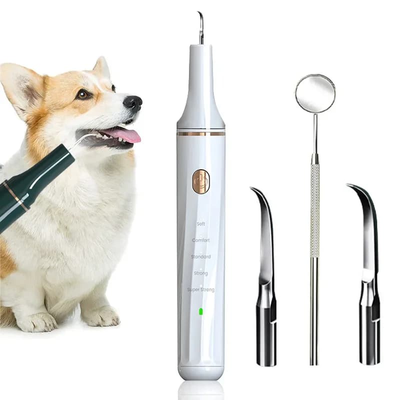 Spazzolino Elettrico Portatile a Ultrasuoni per Cani, Rimozione Professionale di Placca e Tartaro, Sbiancamento Denti per la Cura Dentale degli Animali Domestici