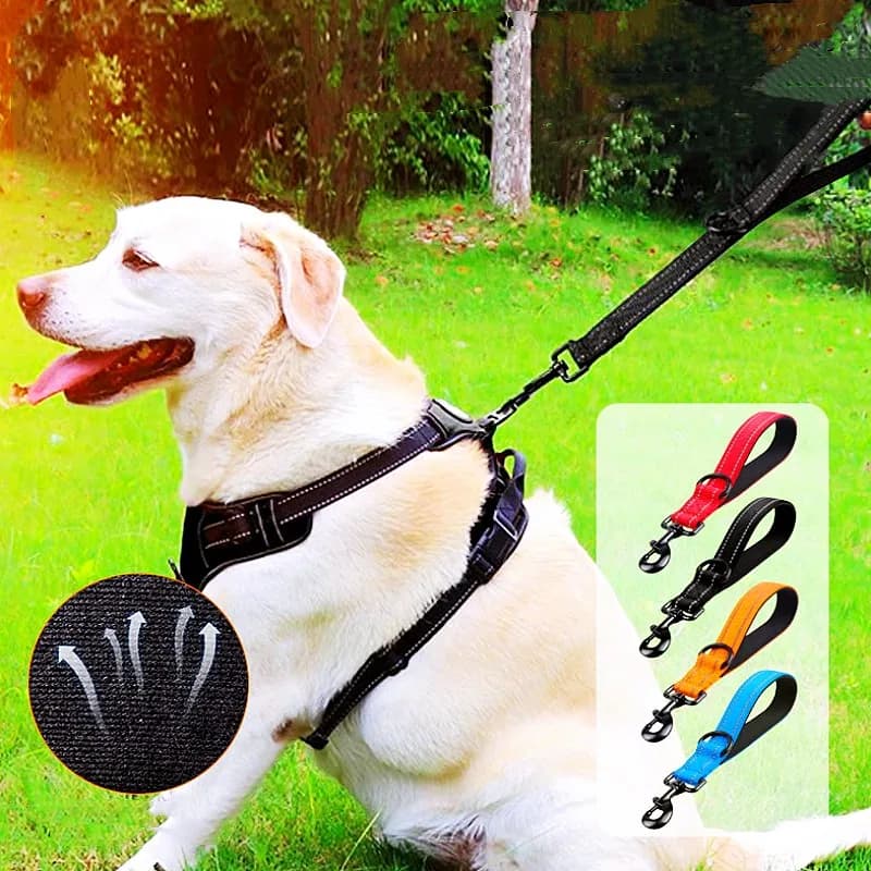 Guinzaglio per cani Guinzagli per cani corti da 30 cm Guinzaglio riflettente per cani che camminano Guinzagli per addestramento a catena per cani corti in un solo passaggio per corda per animali domestici di grandi dimensioni