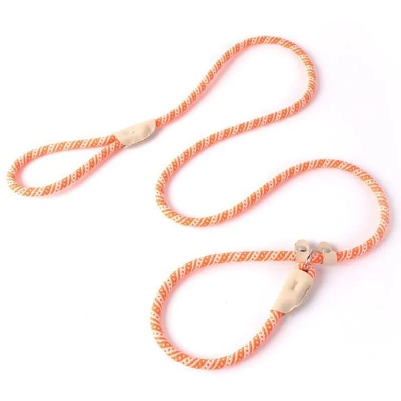 Guinzaglio per cani P collare a catena guinzagli per cani catena Anti perdita P collari in corda per cani cani da passeggio guinzaglio corda da addestramento per cuccioli forniture per animali domestici