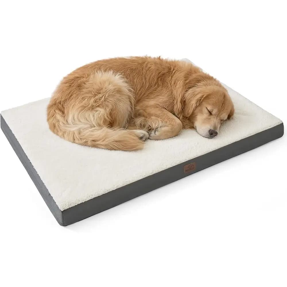 Extra large orthopaedic skin for dogs with removable cover for animals up to 45 kg
