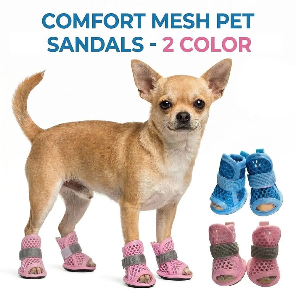 4Pcs Portable Mesh Dog Shoes Soft-sole Non-slip Cooling Dog Boots Wear-resistant Elastic Strap Pet Paw Protector Summer