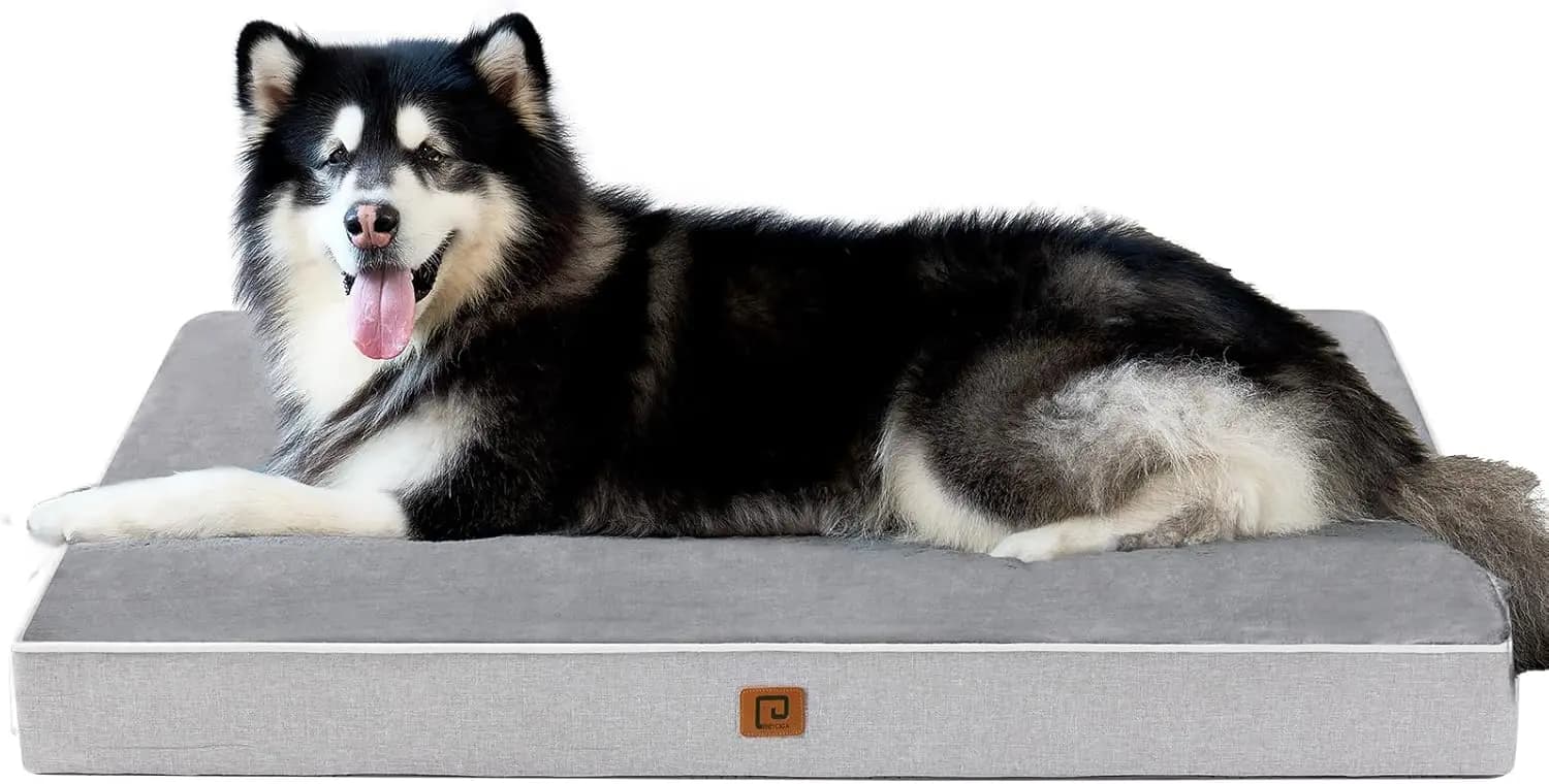 Cuccia Ortopedica Impermeabile per Cani 47x29, Materasso in Memory Foam per Cani XXL, Lavabile con Rivestimento Grigio Rimovibile