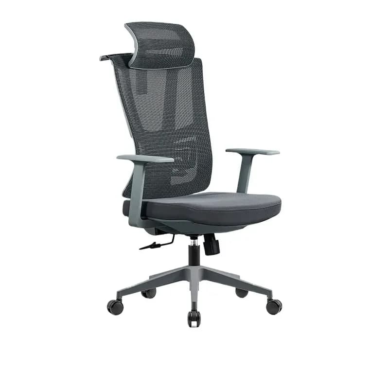 Sedia da Gaming per Casa e Ufficio, Comoda Sedia Ergonomica Direzionale con Supporto Lombare per Lunghe Sessioni di Seduta, per Donne