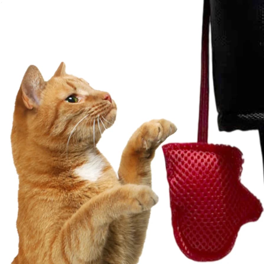 Kitty boxing toy for cats whole adult cats for indoors Interactive cat toys for indoor cats with boxing gloves Supplies for pets