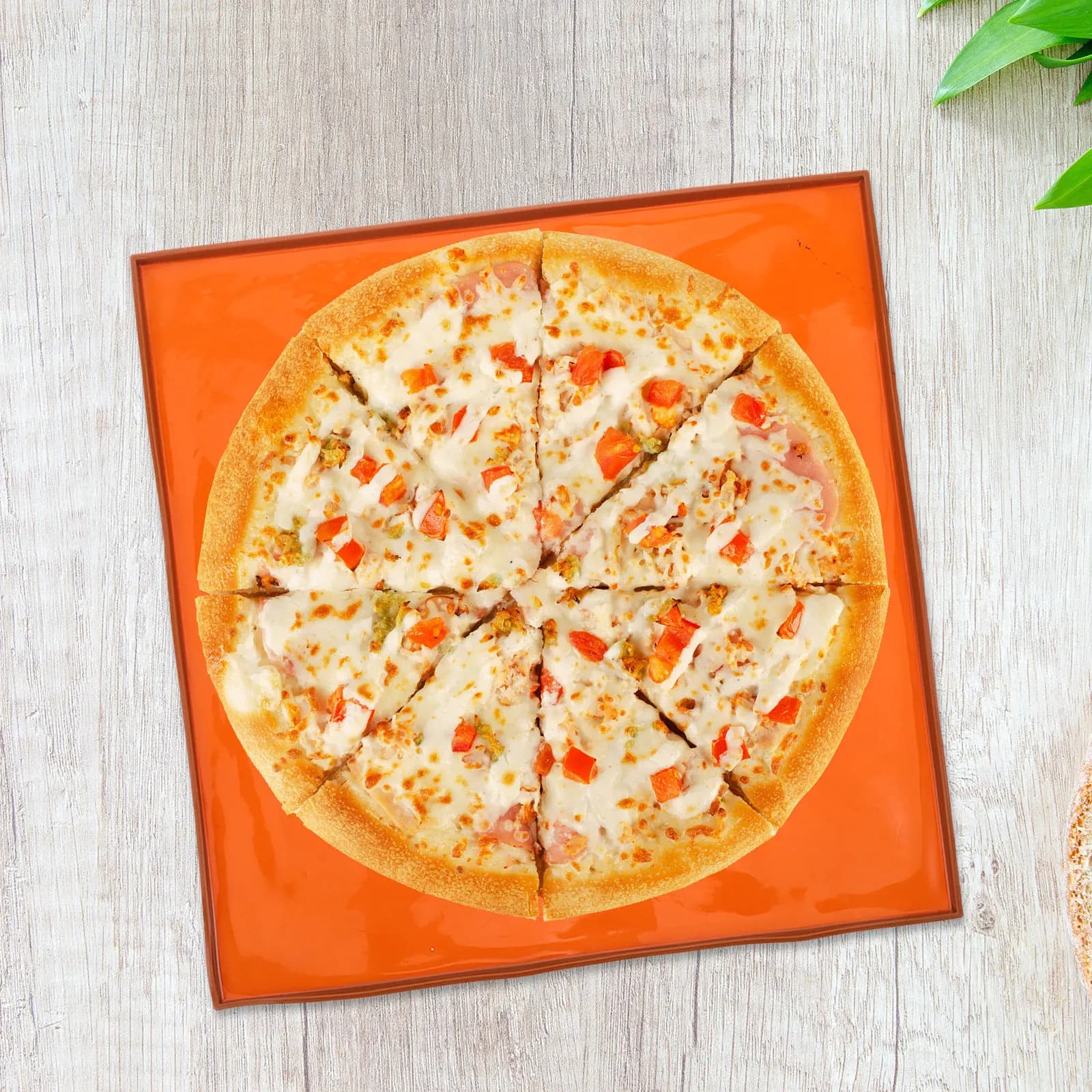 Heavy-Duty Silicone Dehydrator Mat for Oven Air Fryer Baking Tray Reusable Nonstick Heat Resistant Kitchen Liner for Fruit