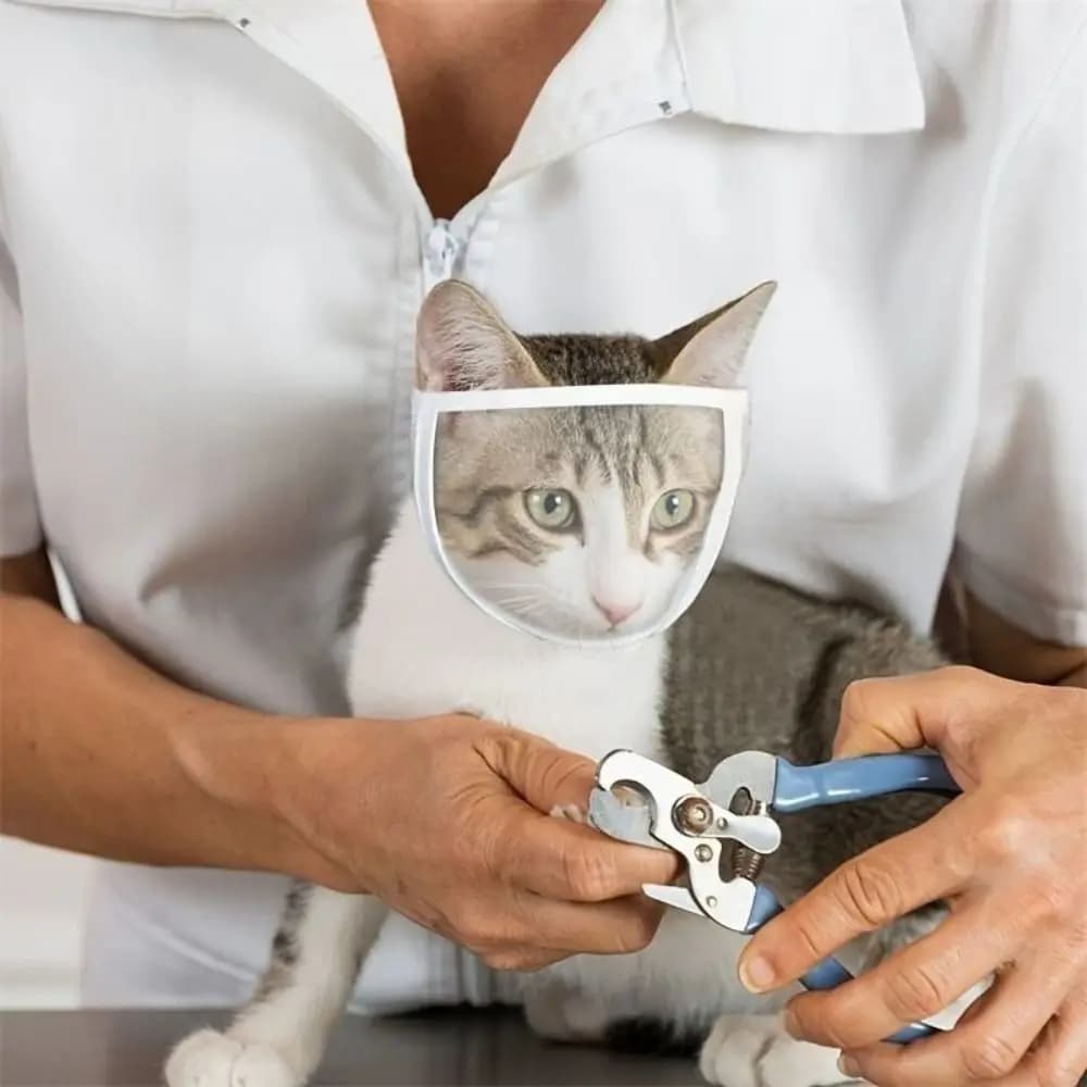 Maschera Trasparente Anti-Morso e Anti-Graffio per Gatti, Maschera Regolabile e Traspirante per Toelettatura e Bagno di Gattini