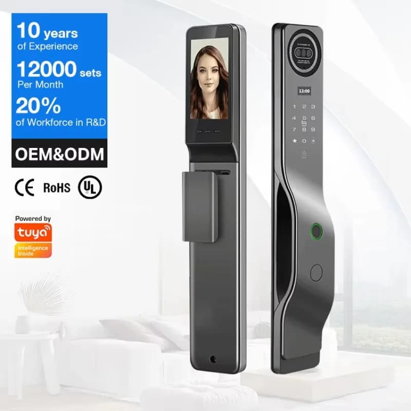 Serratura Elettrica Digitale Intelligente Personalizzata per Casa, con Riconoscimento Facciale 3D e Wi-Fi per Porta d'Ingresso Principale