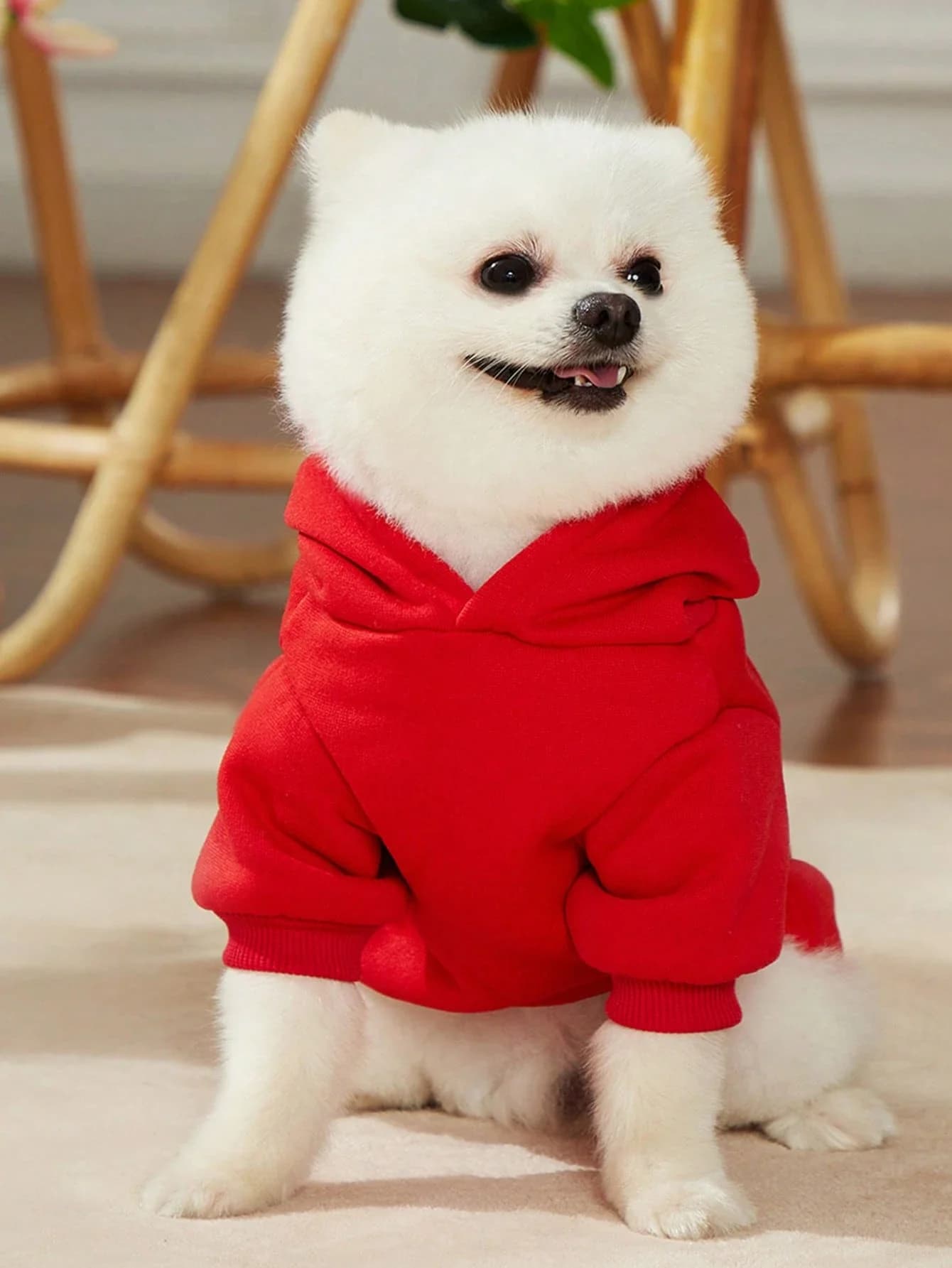 Felpa con cappuccio per cani con stampa di orso rosso per uso interno ed esterno