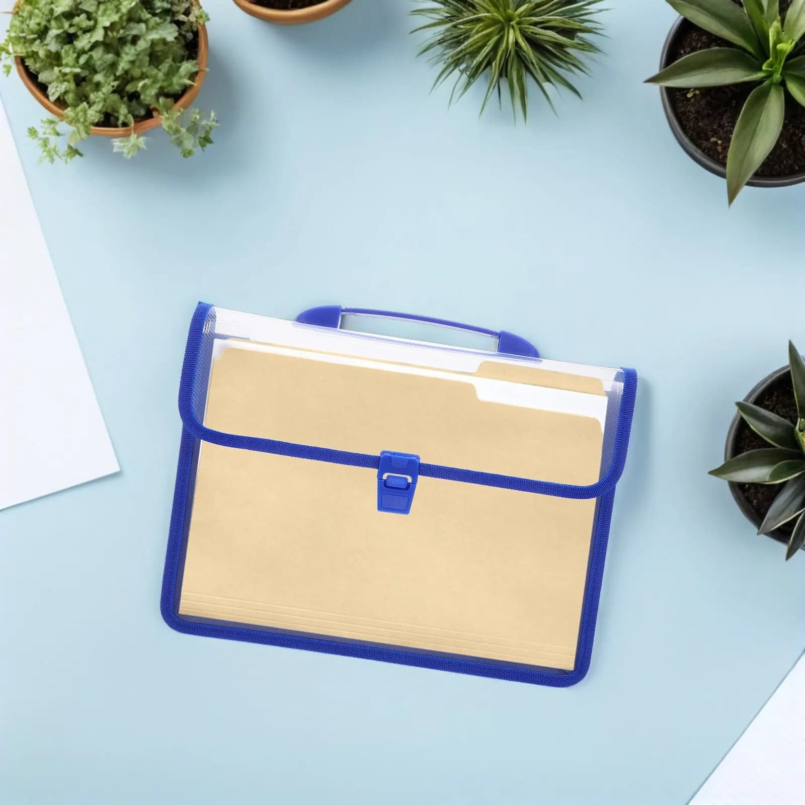 Set di 1 Borsa Portadocumenti Impermeabile Trasparente Espandibile, Organizzatore di File in Plastica con Chiusura a Scatto e Tasca per Etichette, per Ufficio, Scuola e Viaggi