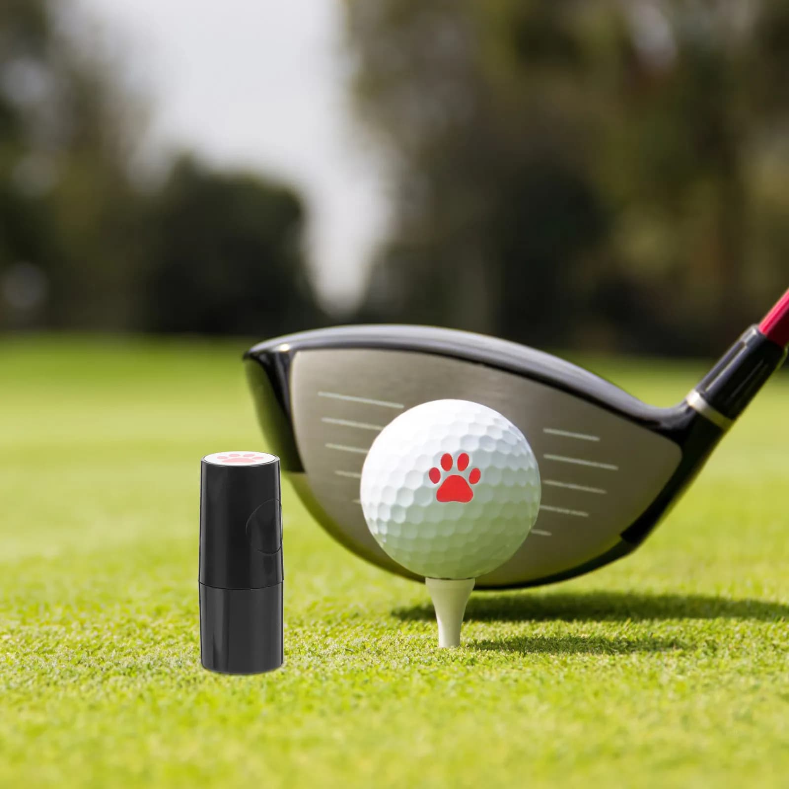 Timbro Multifunzionale per Palline da Golf in Plastica PP, Design Portatile e Leggero, Motivo Adorabile per Riconoscimento Rapido