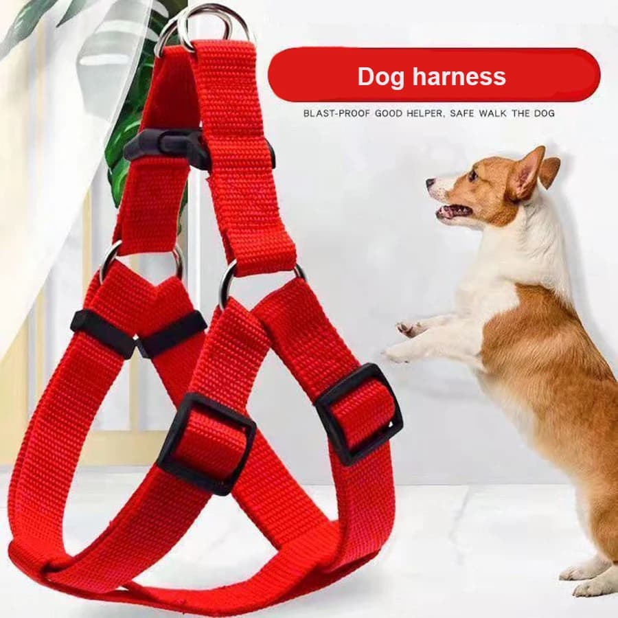 Pettorina per cani Gilet per cani Cinghia Triangolare regolabile Imbracatura in nylon traspirante Cani Cuccioli Gatti Articoli per animali domestici