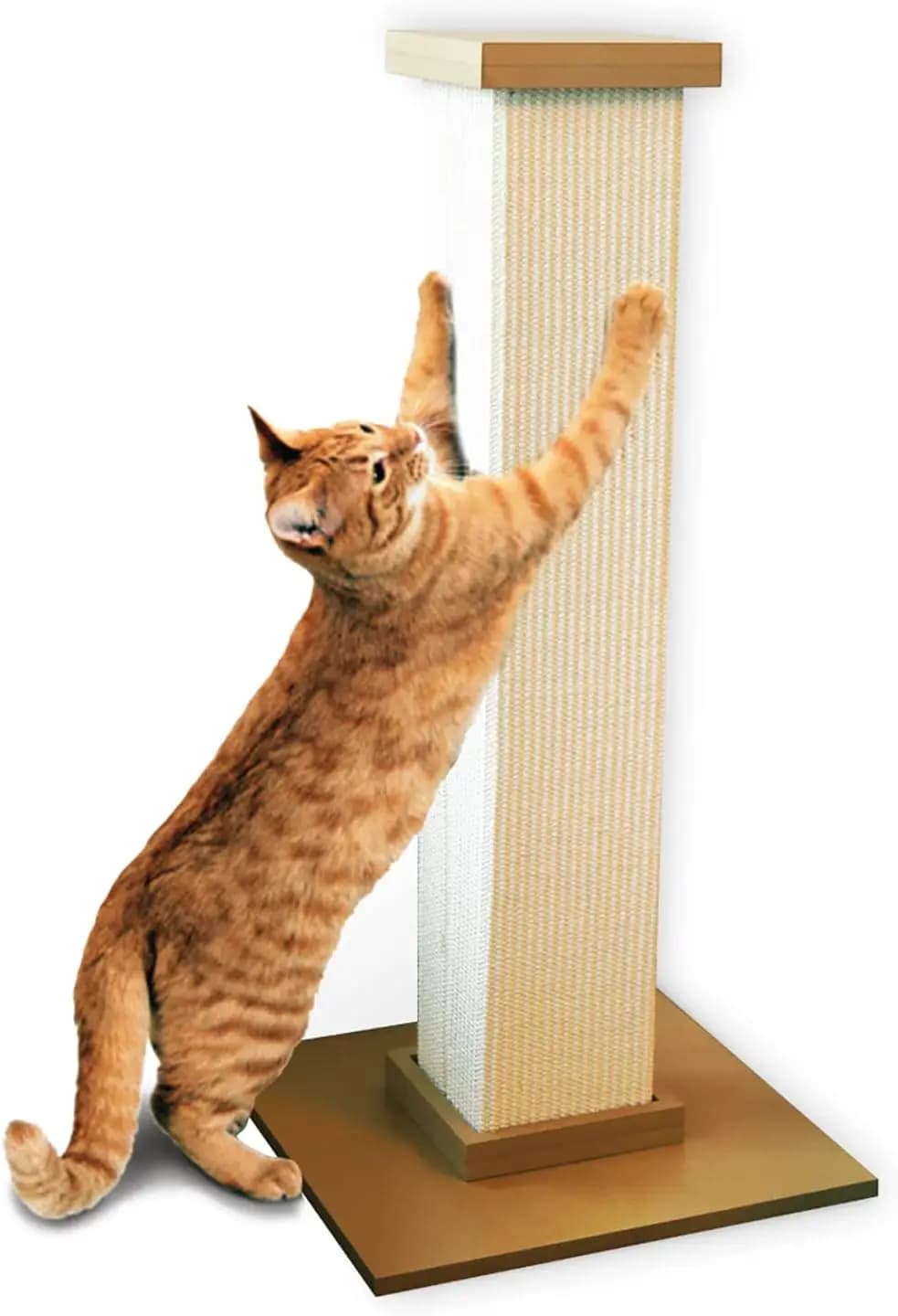 Tiragraffi Beige per Gatti da Casa, Ideale per Graffiare e Giocare